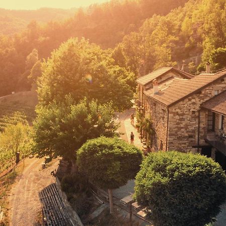 Cascina Bertolotto Wine Resort Spigno Monferrato Kültér fotó