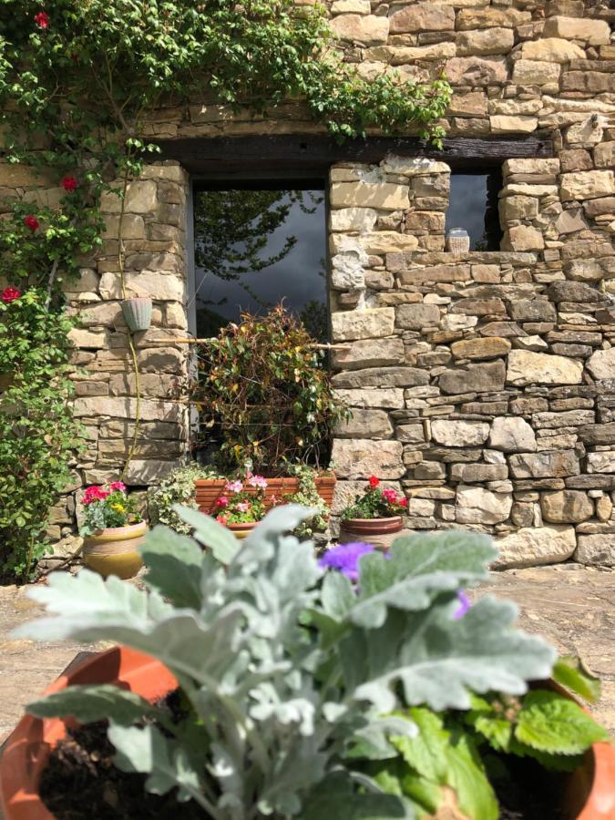 Cascina Bertolotto Wine Resort Spigno Monferrato Kültér fotó