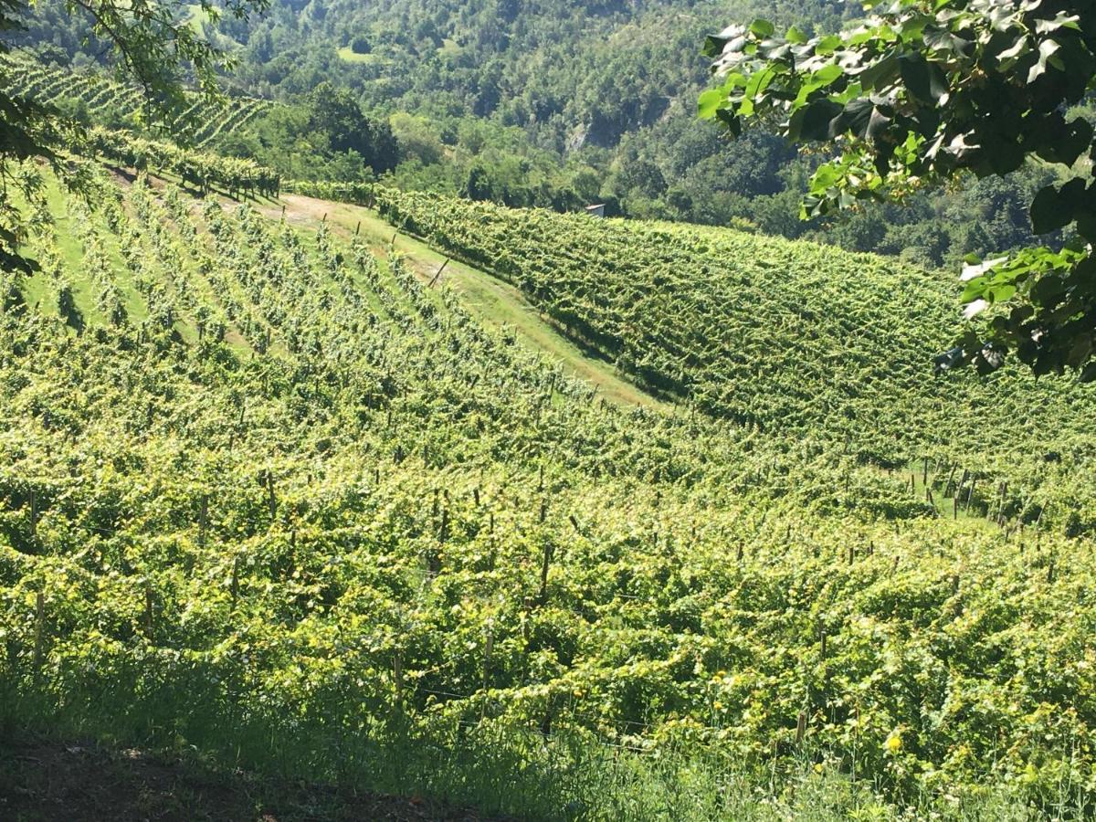 Cascina Bertolotto Wine Resort Spigno Monferrato Kültér fotó