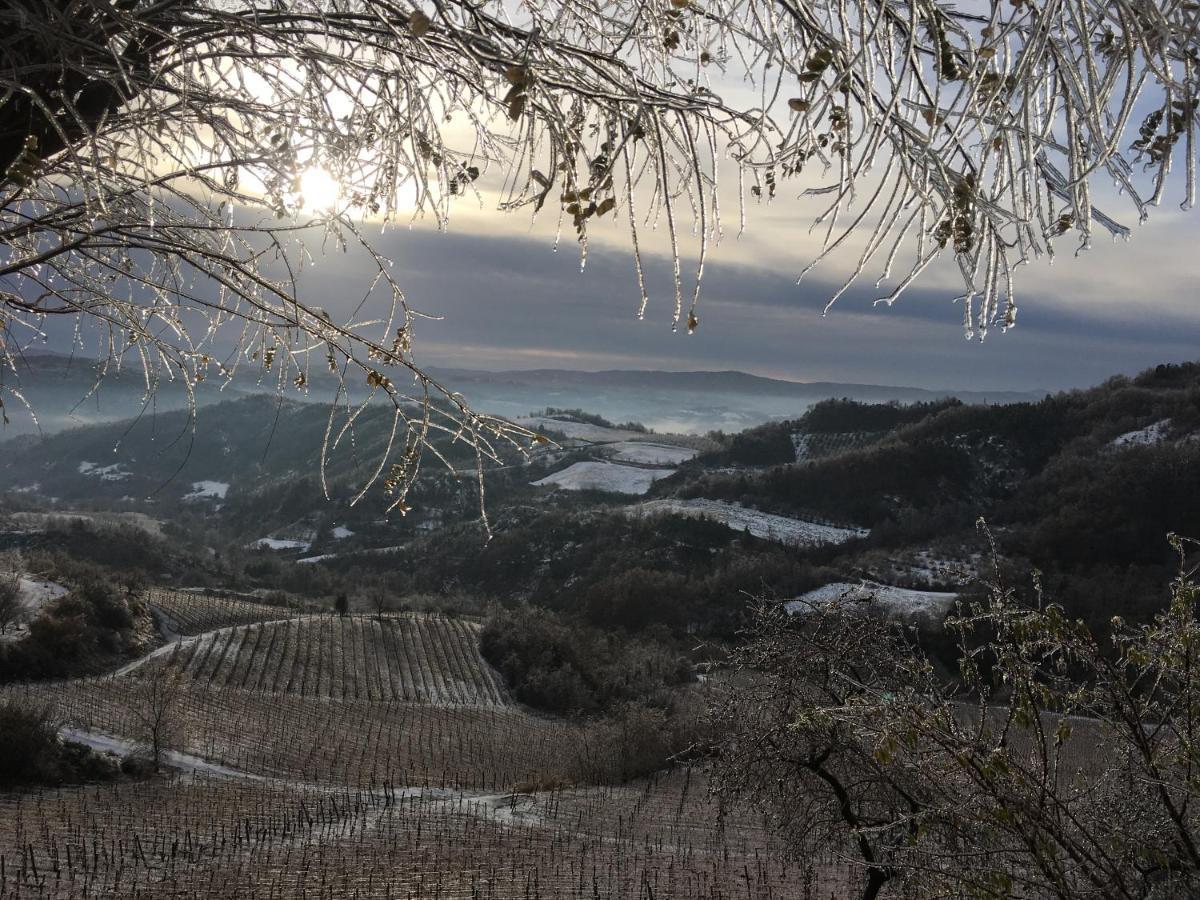 Cascina Bertolotto Wine Resort Spigno Monferrato Kültér fotó