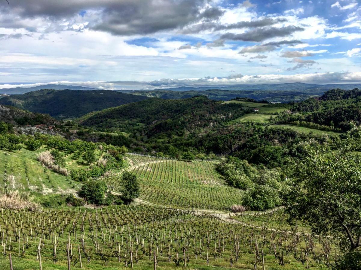Cascina Bertolotto Wine Resort Spigno Monferrato Kültér fotó