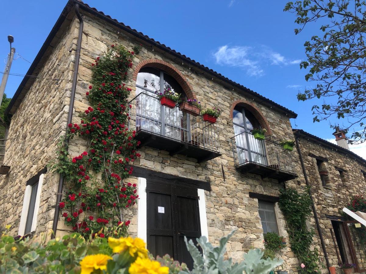 Cascina Bertolotto Wine Resort Spigno Monferrato Kültér fotó