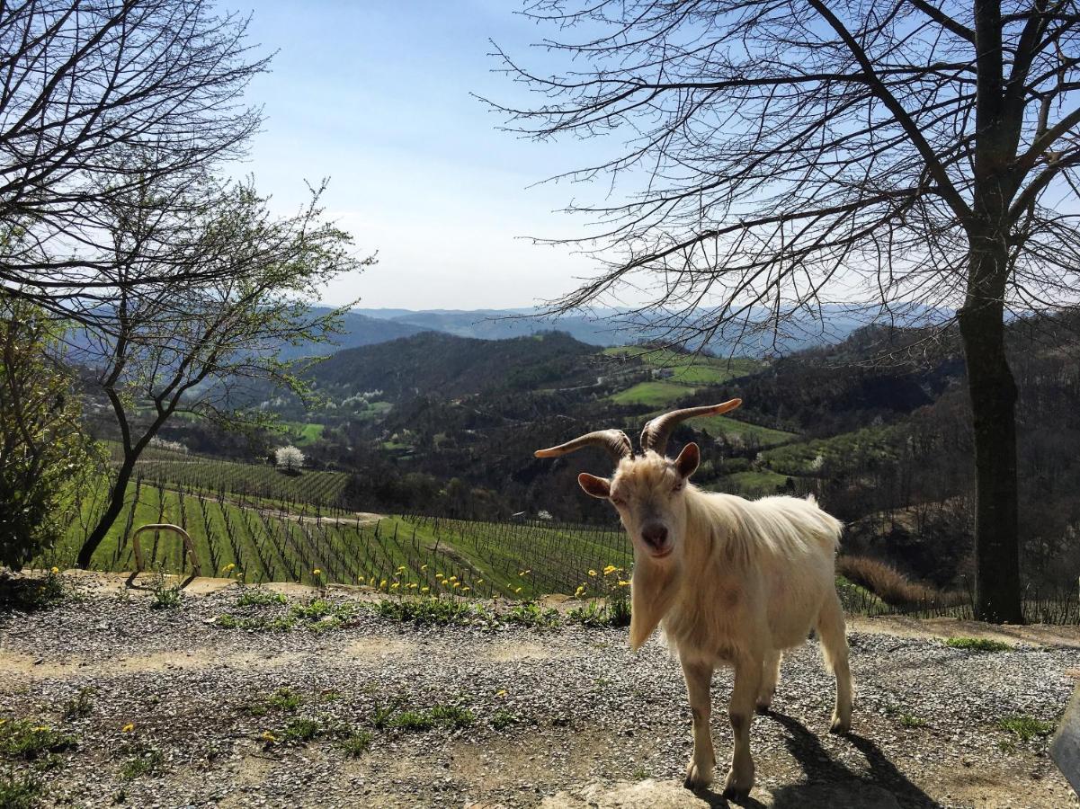 Cascina Bertolotto Wine Resort Spigno Monferrato Kültér fotó