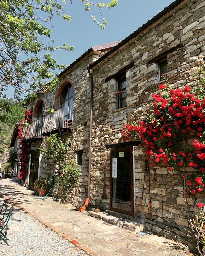 Cascina Bertolotto Wine Resort Spigno Monferrato Kültér fotó