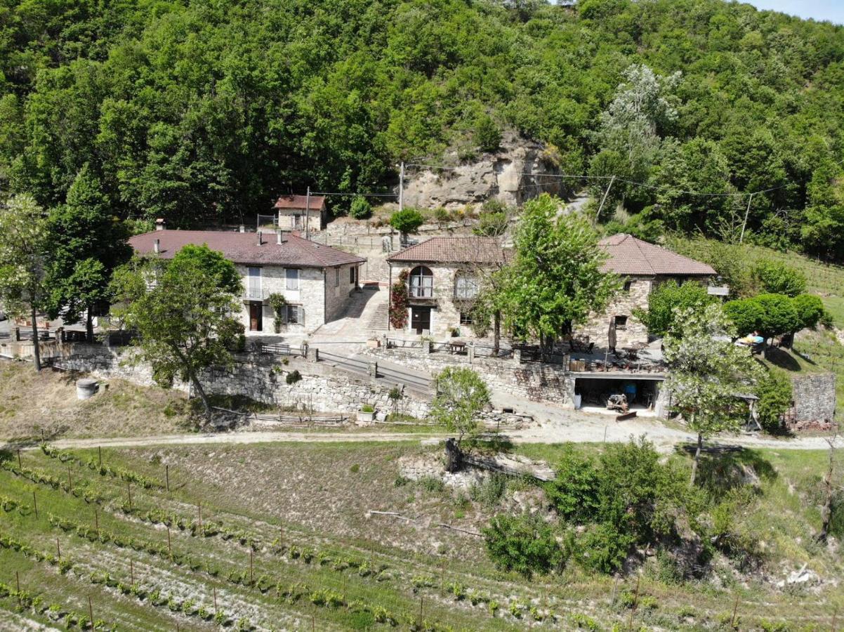 Cascina Bertolotto Wine Resort Spigno Monferrato Kültér fotó