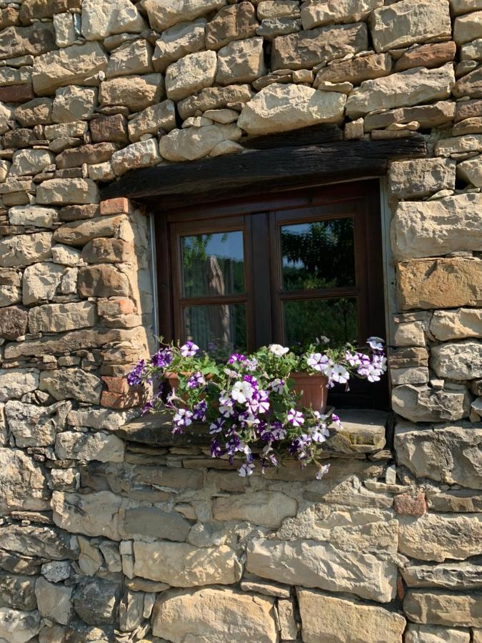 Cascina Bertolotto Wine Resort Spigno Monferrato Kültér fotó