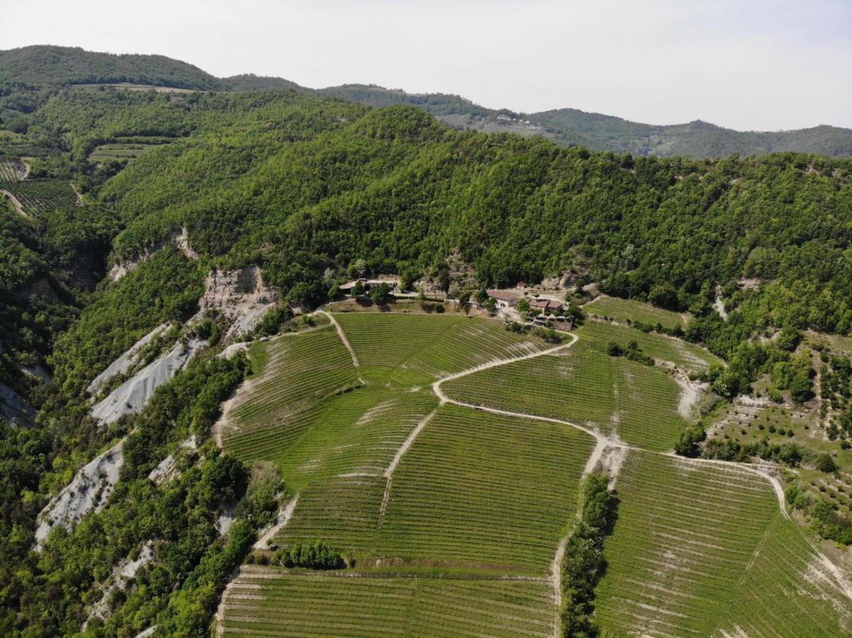 Cascina Bertolotto Wine Resort Spigno Monferrato Kültér fotó