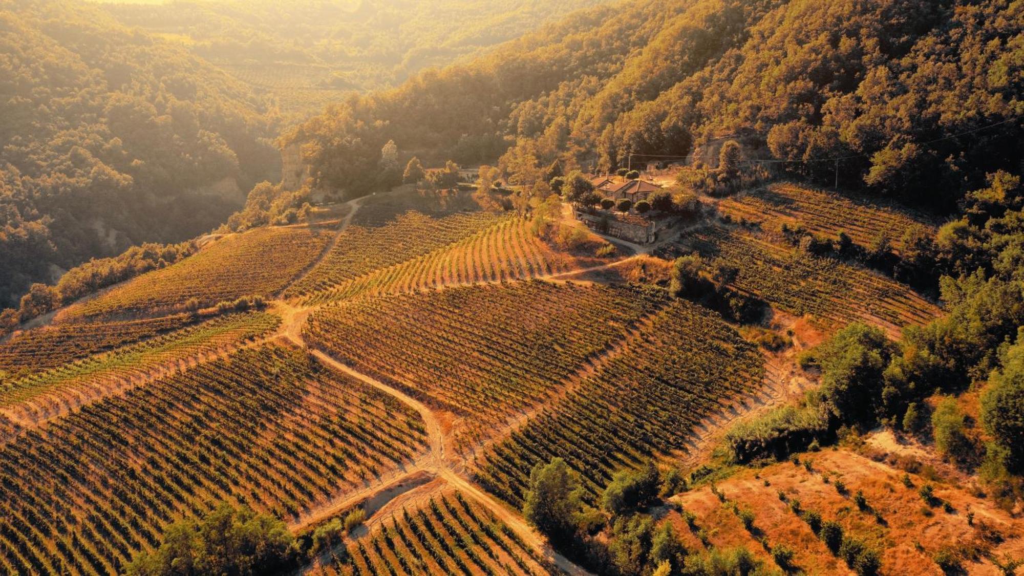 Cascina Bertolotto Wine Resort Spigno Monferrato Kültér fotó